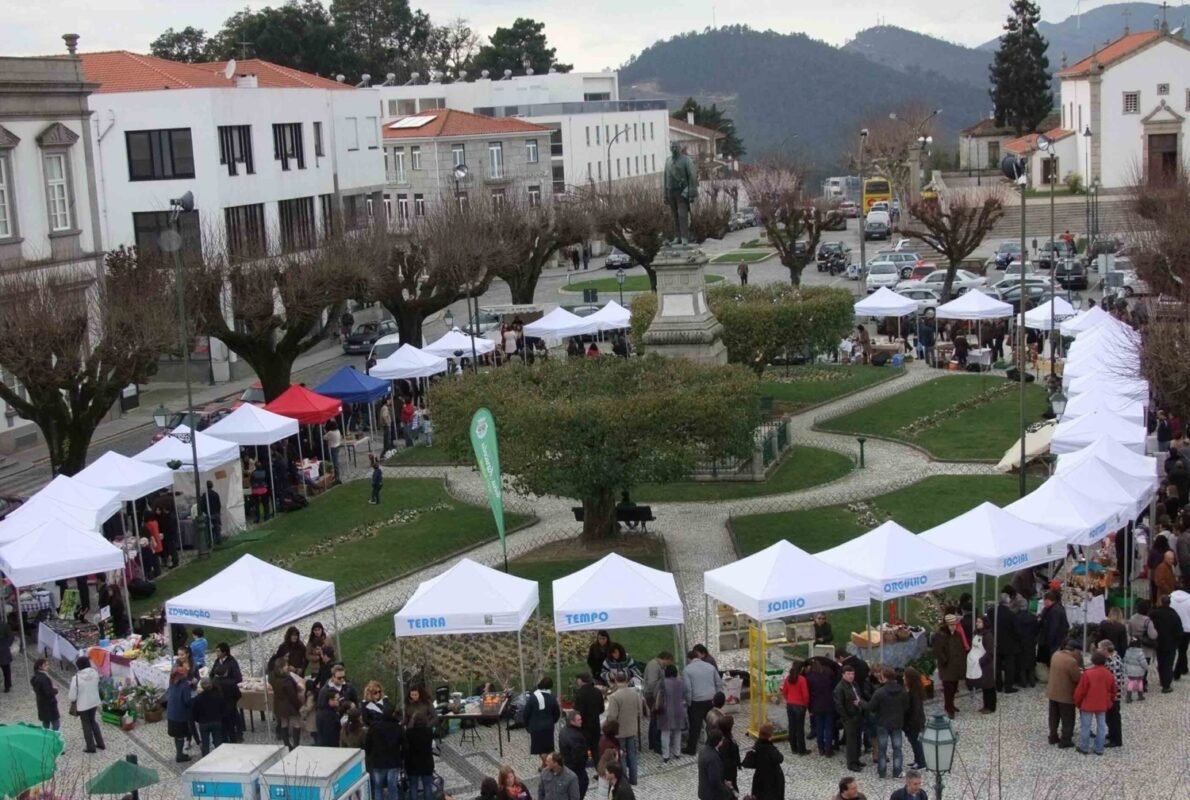 carpas-plegables-dMm-5-scaled-e1662918725329-1500x1008