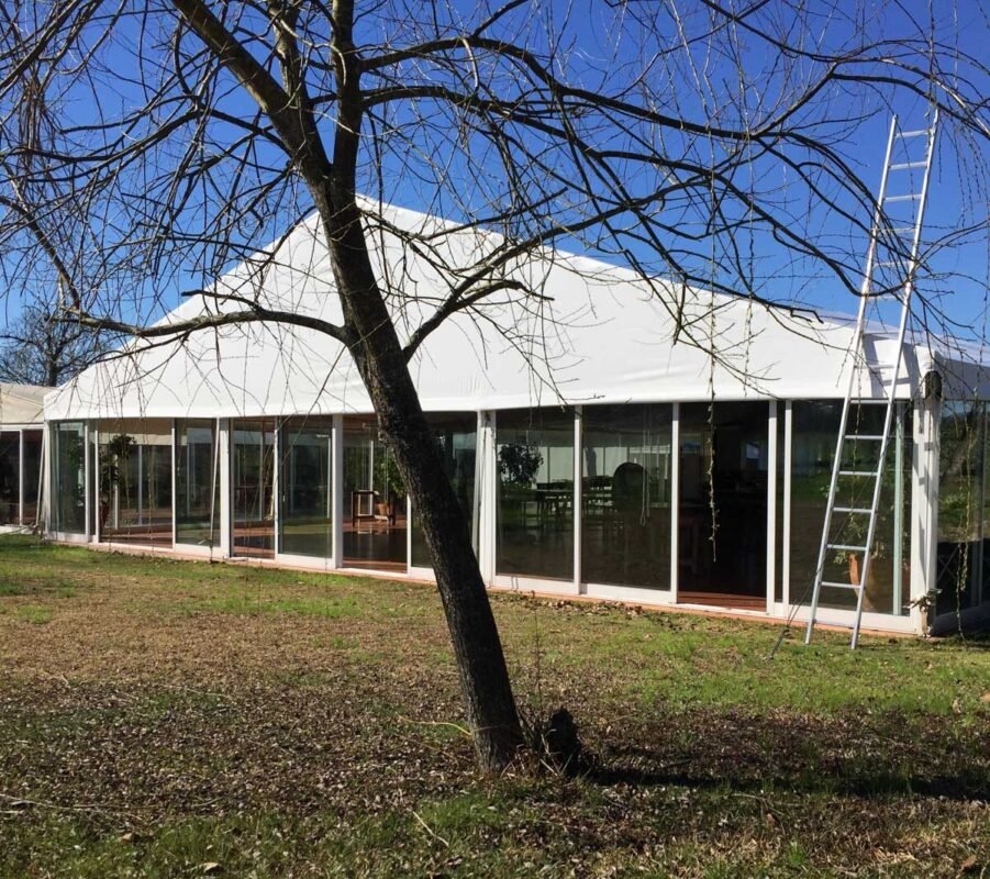 img_2134-e1667509995546-1