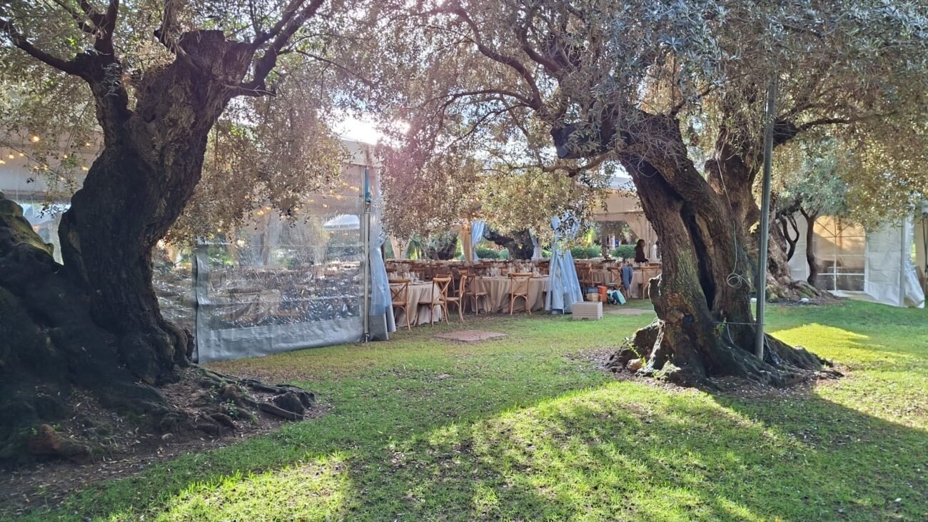 carpa transparente a 2 aguas