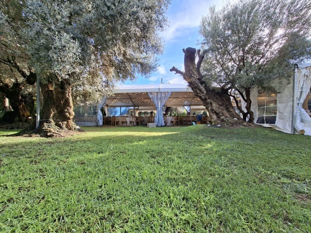 carpa transparente a 2 aguas